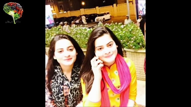 Pakistani celebrities with their siblings