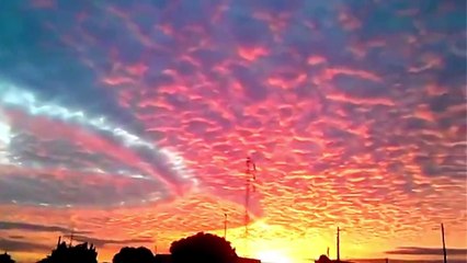 Busted!! H.A.A.R.P UFO Shocking Video! Share This Before Its Shut Down! 2014