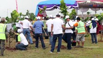 PT Hutama Karya Lakukan Penanaman 5600 Pohon dalam Rangka HUT ke 56