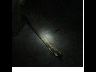 Rắn Hổ Mang Thành Tinh Bị Bắt Ở Hải Phòng