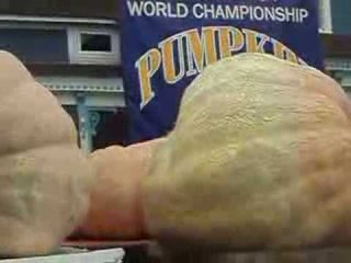 World's largest pumpkin record 2013 / Qua BI To Nhat The Gioi