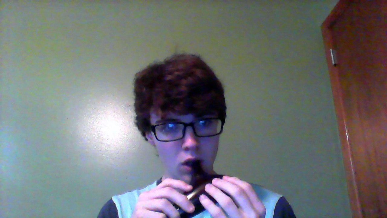 ocarina2 (Lost Woods - Zelda)