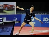 Hungarian Open 2014 Highlights: Liu Jia vs Georgina Pota (Final)