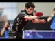 German Open 2013 Highlights: Zhang Jike vs Fan Zhendong (1/4 Final)