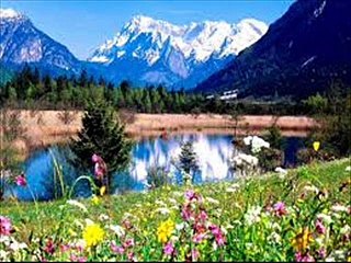 Женский Настрой Сытина Активизация эндокринной системы оздоровление всех внутренних органов