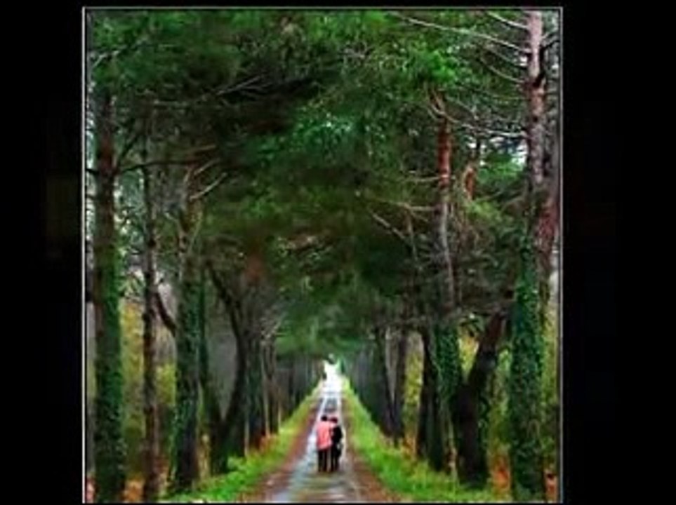 Sevebilme İhtimali  ( Yılmaz ERDOĞAN )