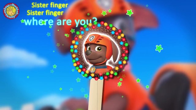 PAW PATROL CAKE POP FINGER FAMILY NURSERY RHYME LOLLIPOP CANDY SONG WITH LYRICS