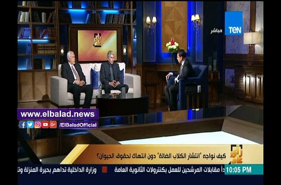 «الطب البيطري» يكشف عن الطريقة المستخدمة للتخلص من الكلاب الضالة