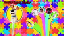 Secret Life Of Pets Lollipop Finger Family. Secret Life Of Pets Nursery Rhymes Lyrics