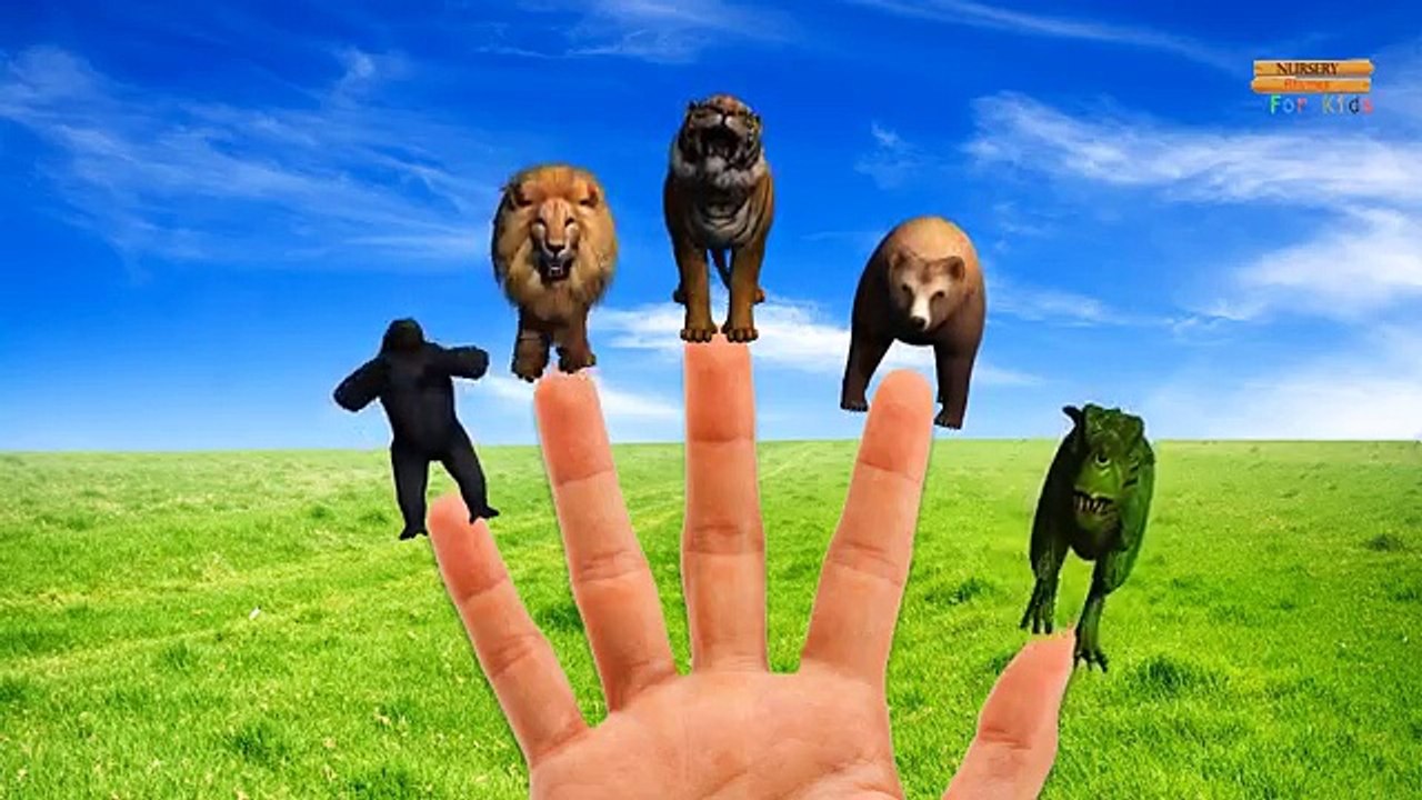 Животные цвета динозавры слон Семья бой палец горилла король конг лев рифмы против |