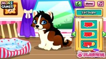 Build Puppys Doghouse - Pet Dog Caring and Dress up Game - Animal Games