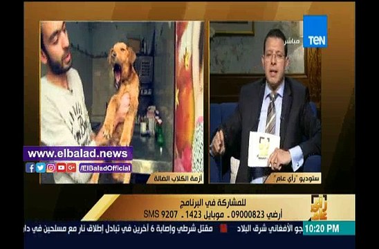 مدير مستشفى الهرم: نستقبل مصابين كل يوم بسبب الكلاب الضالة