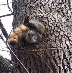 Quand tu manges un peu trop !