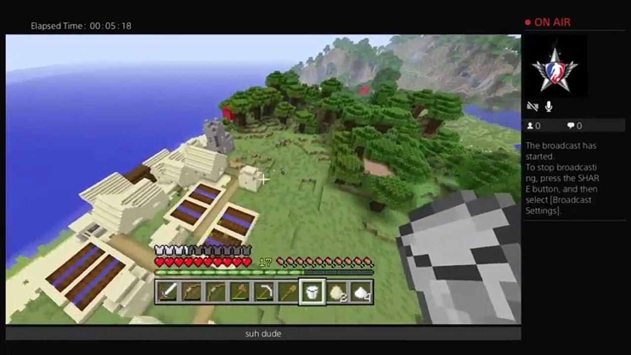 Quest to make a cake!! (12)