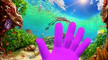 Shark Finger Family Song | Sea Animals Finger Family & More Nursery Rhymes Collection For