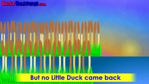 Five Little Ducks | Plus Lots More Nursery Rhymes | 74 Minutes Compilation from LittleBaby