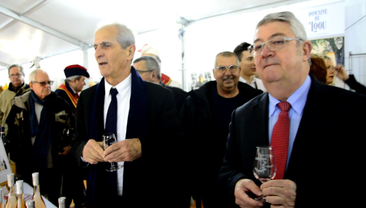 Bacchus Toulon Mars 2017 - Inauguration Hubert Falco Travelling 01 - 1080p