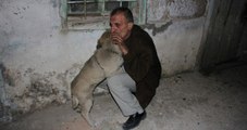 Evi Yanan Adam, Alevlerin Arasında Kalan Köpeğini Kurtarmayı Başardı