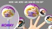 PRINCESS CAKE POP FINGER FAMILY SONG - DADDY FINGER DISNEY LOLLIPOP CANDY SONG WITH LYRICS
