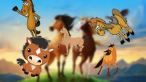 Horse Cartoons Finger Family Nursery Rhyme for Children - Finger Family Rhymes TV