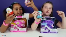 #NEW Zoomer Hedgiez Dizzy Whirl Toy Opening - Hedgierz Race Challenges - Kids Toy Review