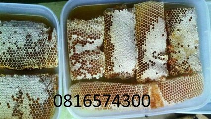 0816574300 Jual Madu Anak Lanny Jaya