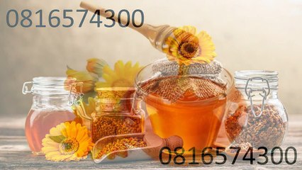 0816574300 Jual Madu Anak Jayapura