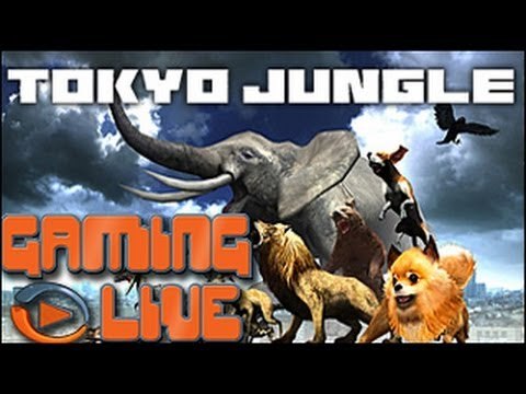 GAMING LIVE PS3 - Tokyo Jungle - 2/2 - Jeuxvideo.com