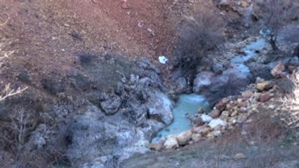 Köylüler Duyarlılık Gösterdi, Dağ Keçileri Tarlalara Kadar İndi