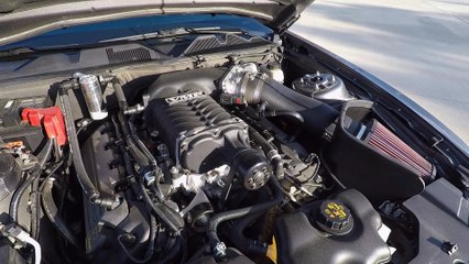 VMP Supercharged Mustang 5.0