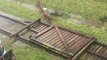 Cyclone Debbie Knocks Down Fence in Proserpine