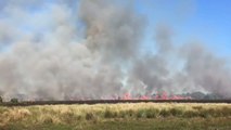 Florida Brush Fire Grows to 625 Acres