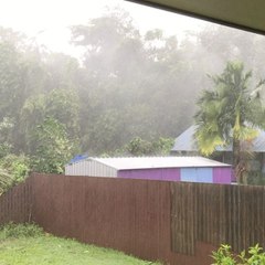 Branches Downed and Water Ricochets off Roof as Cyclone Approaches