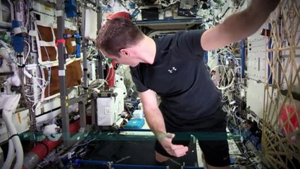 Pourquoi les eaux usées sont un "nouvel or noir"