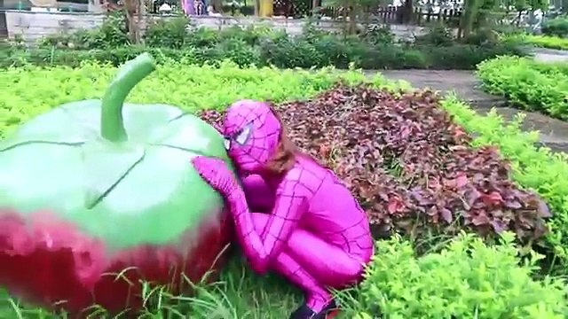 Розовый Человек-паук читы, Человек-паук на ж/ Халк Человек-паук идет на работу супергероя удовольствие в ре