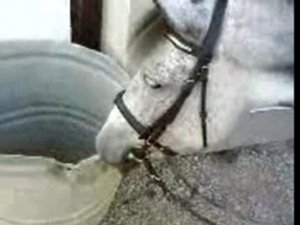 Naloute Et Le Miroir