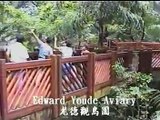 SONY HX5V 1080i HD Video - 香港公園觀鳥園 Part 6 Hong Kong Park Aviary