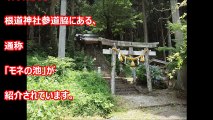 【海外の反応】日本のある池が凄すぎると話題に。日本はなんてとんでもない凄い国なのだろうか・・・【驚愕】