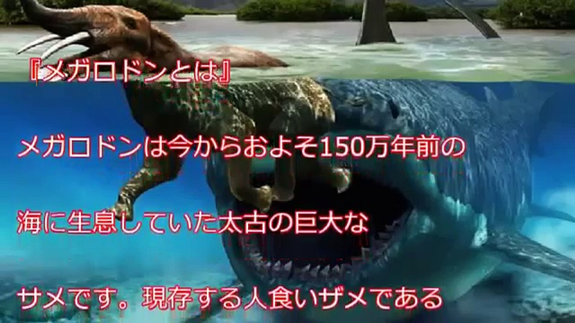 衝撃 超巨大サメ メガロドンは絶滅していなかった 世界で多発する目撃情報 世界に実在するマジでヤバイ超危険生物 Video Dailymotion