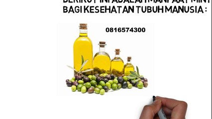081-657-4300 (Indosat) Jual Minyak Zaitun Jepara