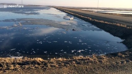 Rising temperatures create run-off in Canadian field