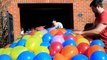 1000 Balloon Belly Flop Challenge *BLOOD ALERT* http://BestDramaTv.Net
