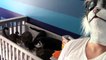 CatDad Feeds His Kitties In Cat Mask Fail! (Original Video) http://BestDramaTv.Net