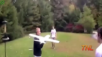 Cats watch humans fail (again) http://BestDramaTv.Net