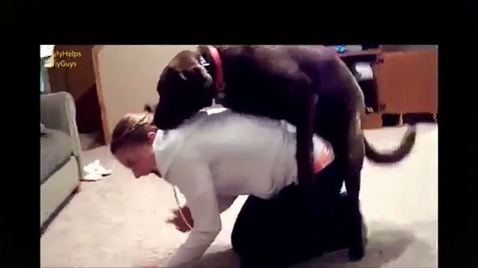 Mating With Human DOG HUMP FAIL 