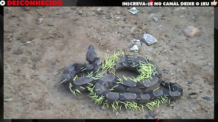 3 detik bisa tebak ini apa???