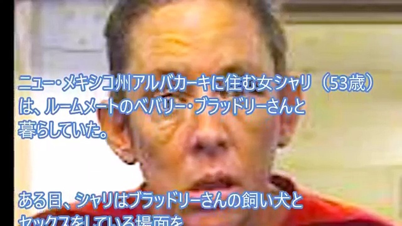 【閲覧注意】狂気の「獣姦事件トップ11」