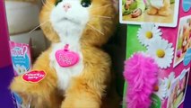 FurReal Friends Kitty Cat DisneyCarToys Daisy Pet Playing Cat Toy Review by Hasbro *| , KI
