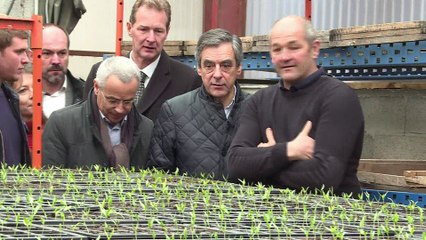 Election en France : Accueil houleux pour Fillon dans une exploitation du Pays basque