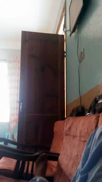 Funny Video